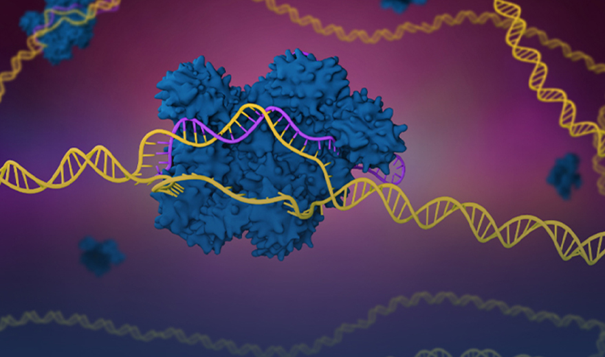 Transcriptome Sequencing