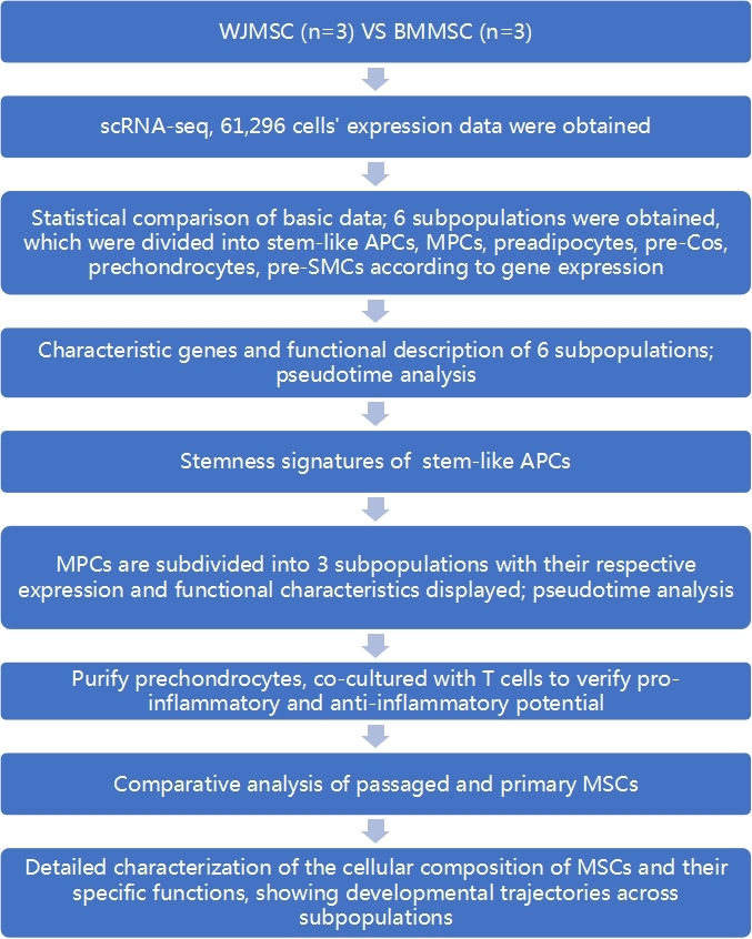 Mitophagy Assay Kit