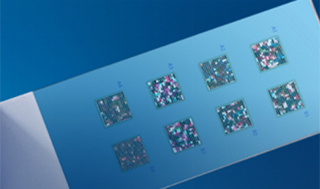 Microarray Gene Chip Analysis