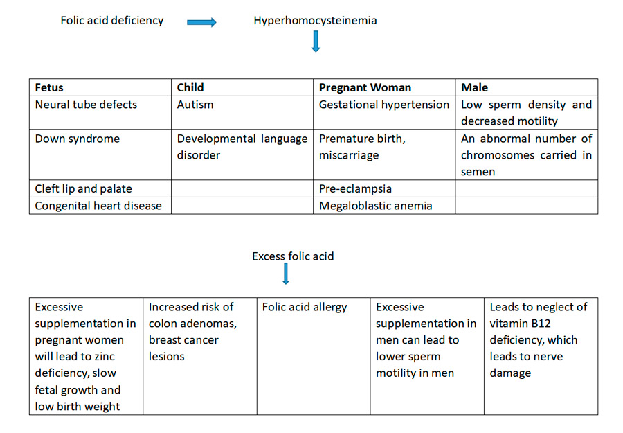 Features of Folic Acid Utilization Ability Genetic Detection