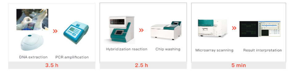 Workflow of MTB Drug Resistant Detection