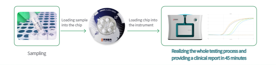 Workflow of SARS-CoV-2 Integrated Microfluidic Chip Analysis System