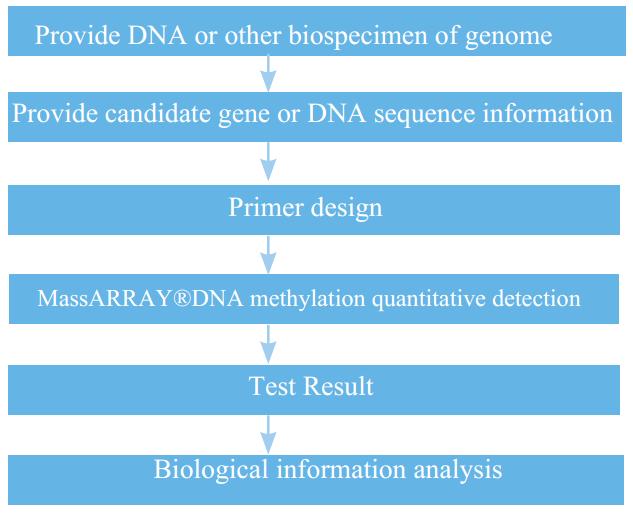 experiment-process.jpg