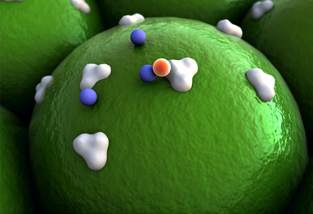 Single-cell Gene Expression With Cell Surface Protein