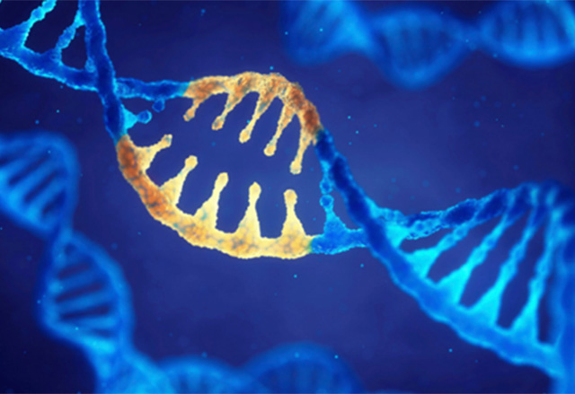 Methylation Detection