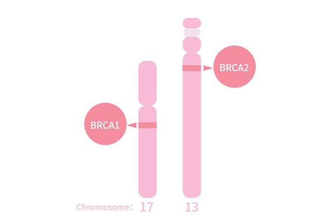 genetic testing for hereditary breast ovarian cancer