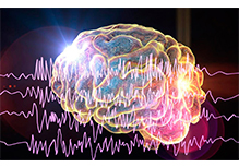 Epilepsy-related Gene Detection