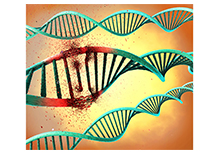 Fetal Aneuploidies (Trisomy 21, Trisomy 18 and Trisomy 13) Detection