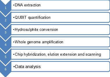 850k methylation array