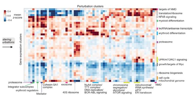 Heatmap_of_correlation_between_sgRNA_subgroups_and_gene_expression_subgroups.jpg
