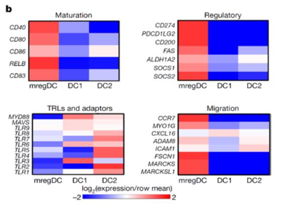 The_expression_of_each_subgroup_gene_set.jpg